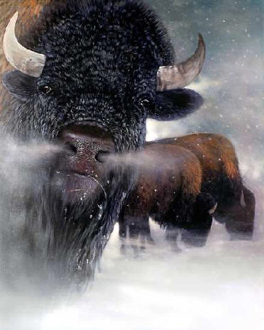 buffalo-painting